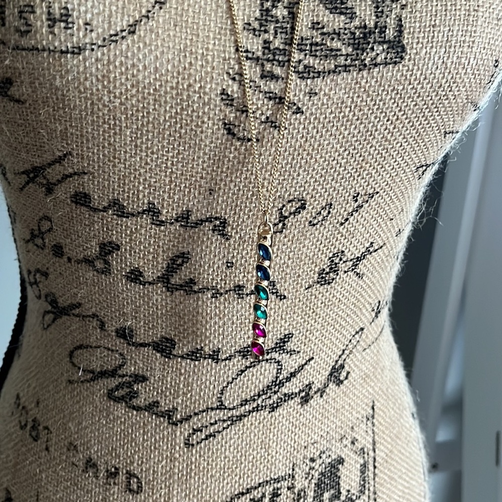 Charming Charlie jewel tone and gold long necklace